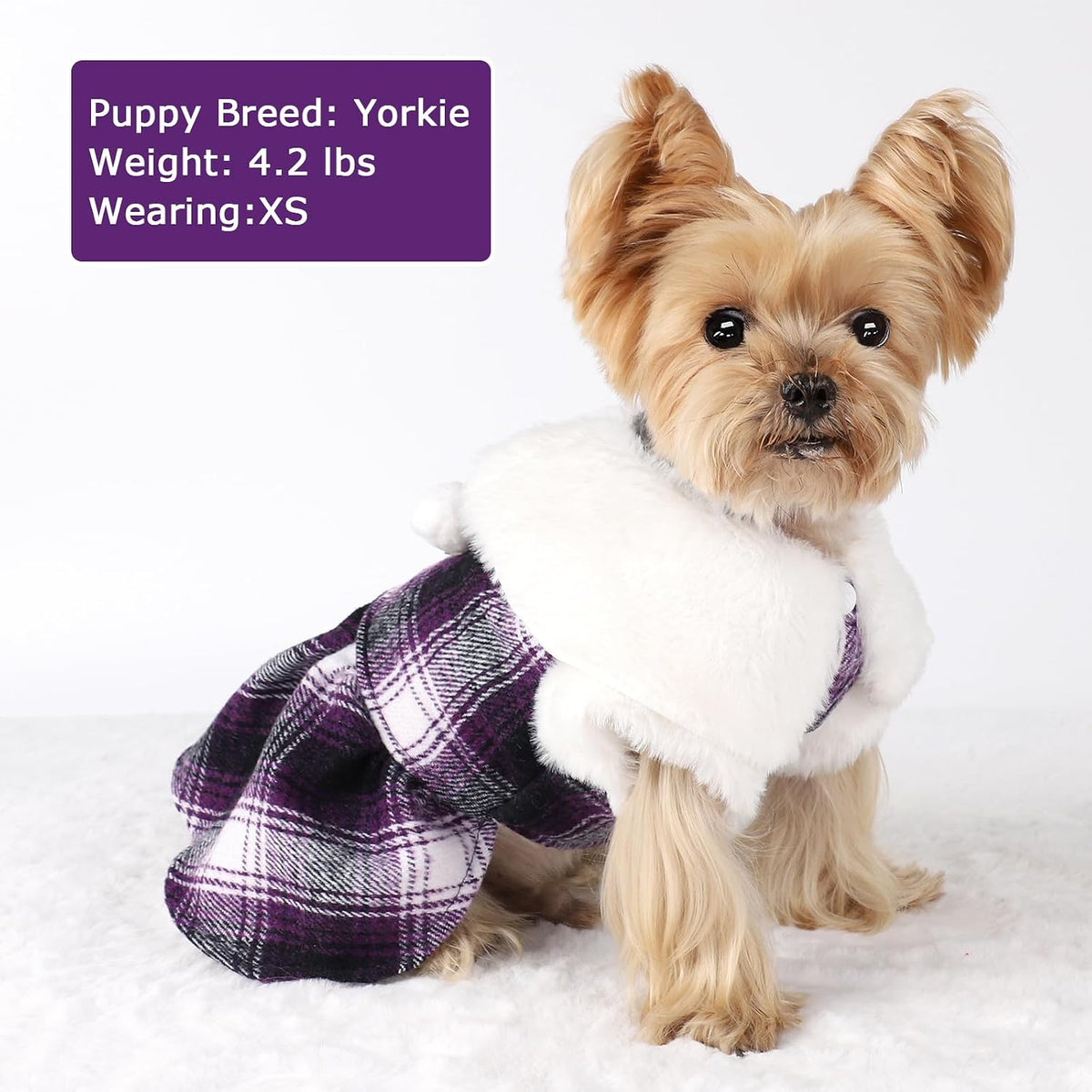 Dog Sweater with Leash Set D Ring Plaid Fleece Dog Clothes for Small - Medium (Chest 17in ) / Purple with Leash - image 3