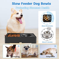 2-in-1 Elevated Dog Bowls, No Spill Water Bowl - Slow Feeder - image 4