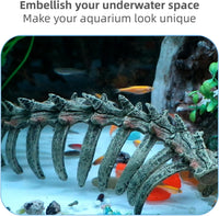 relaqcc Aquarium Skull Animal Skeletons - image 4