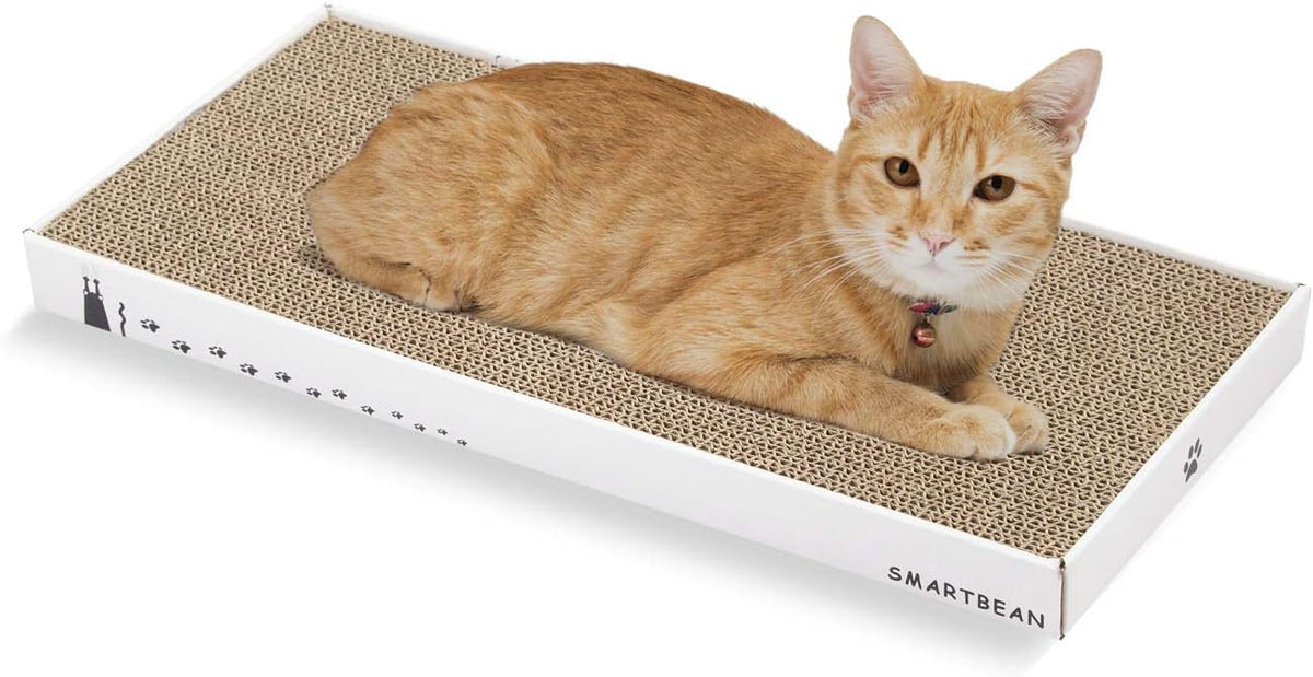 Oval Sturdy Cat Scratching Cardboard Pad Breathable Cat Scratch Pad - Scratch Pad - 1 pc