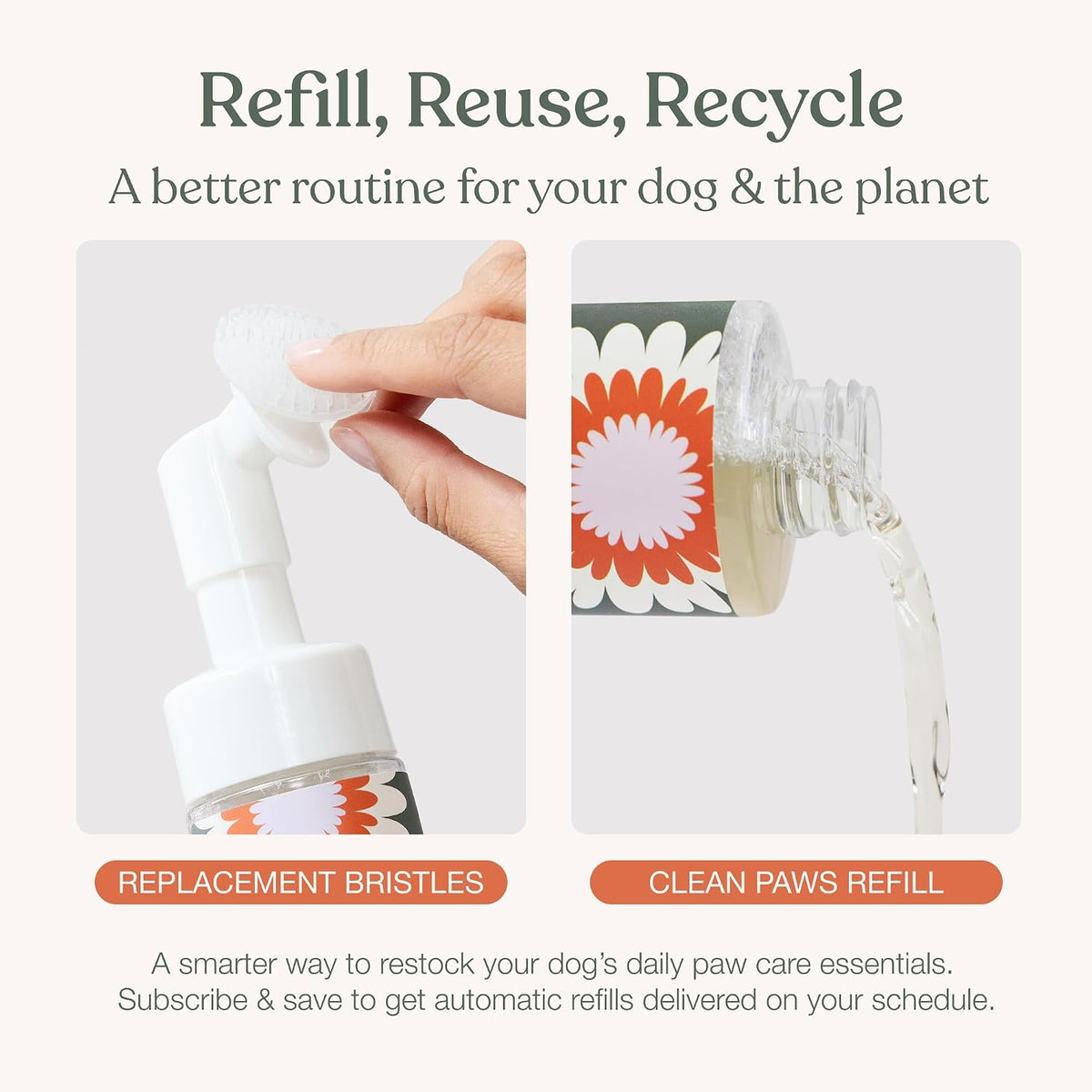 Dandylion, Dog Paw Cleaner, Clean Paws - 10 Fl Oz - image 2