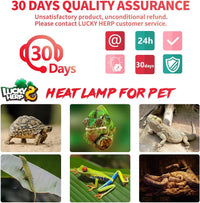 LUCKY HERP Intense Heat Lamp Bulbs for Reptiles 100W 2 Pack - Infrared Basking Light Bulb / 100 Watts - image 4