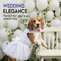 ASENKU Dog Dress Pet Wedding Dress Puppy Birthday Party Outfit - White / X-Large - image 4