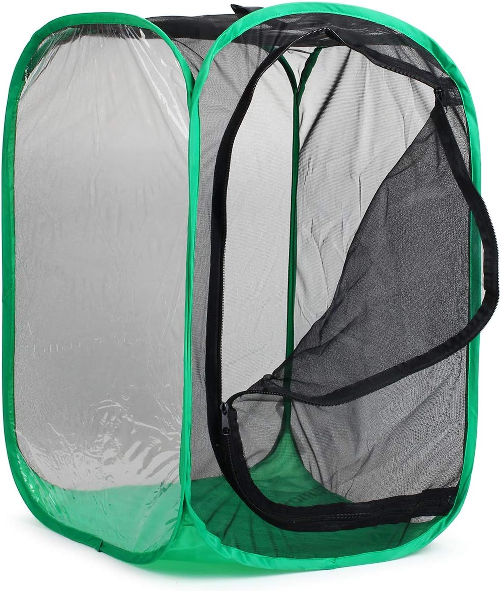 RESTCLOUD 36" Large Monarch Butterfly Habitat - Black with Green - image 2