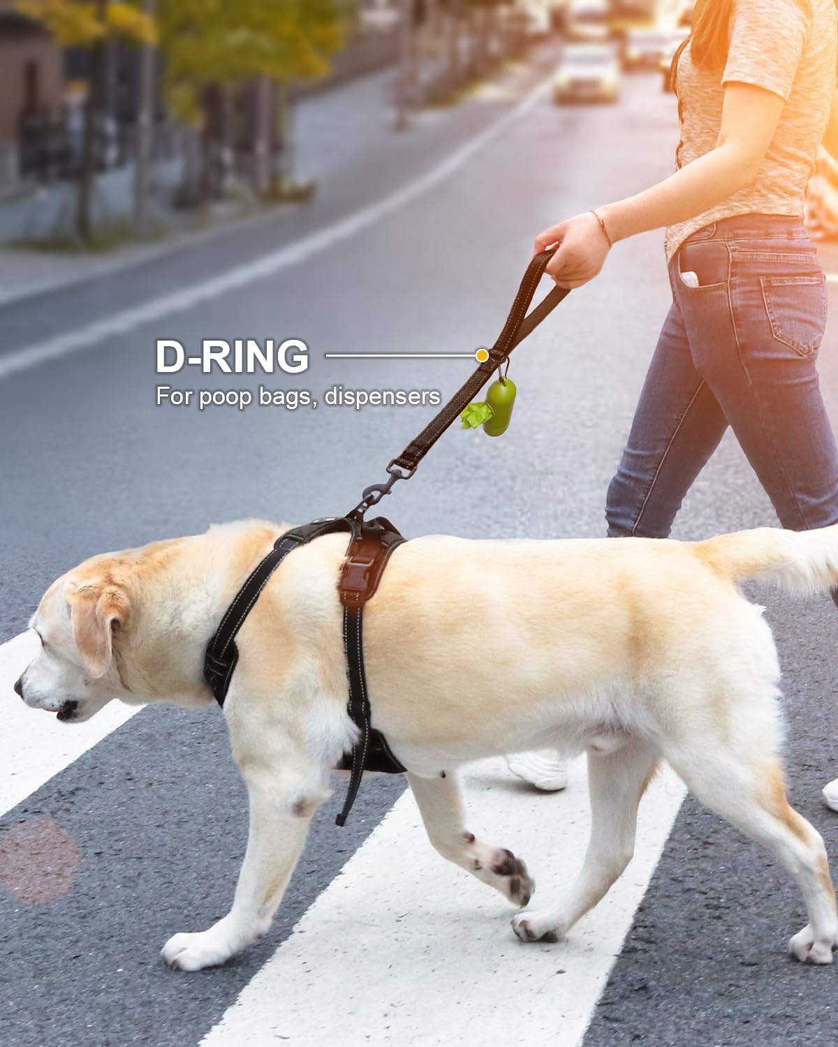Joytale Short Dog Leash for Close Control & Training, 18" - 2 ft / Black - image 3