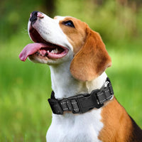 Reflective Martingale Dog Collars. Dog Collar with Quick Release - S:1" Wide for 12.5"-15.5" Neck / Black - image 2