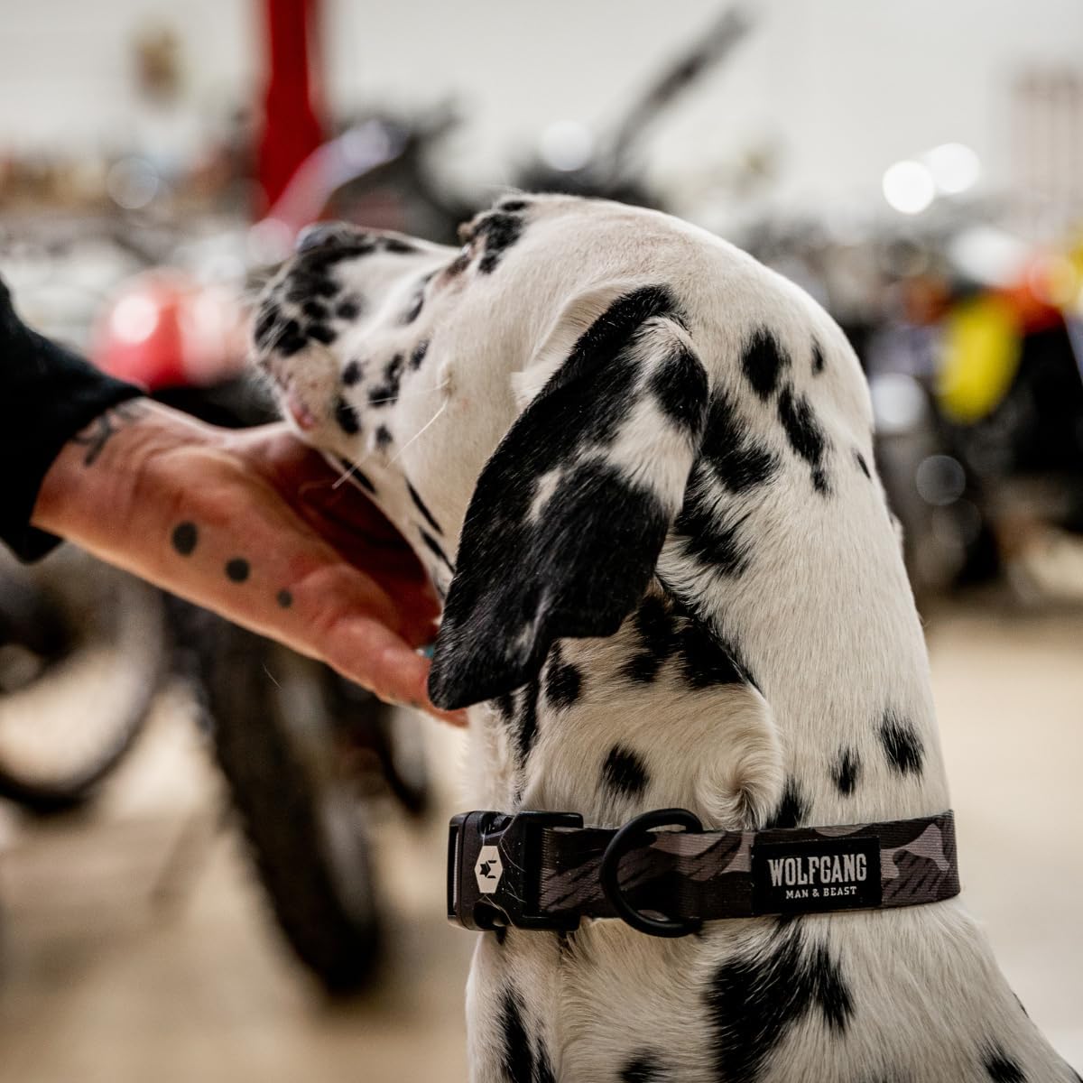 Wolfgang Heavy Duty, Adjustable Dog Collar with Quick Release Nylon Buckle for Walking & Training - Medium (1 Inch x 12-18 Inch) / DarkSkies Print - image 2