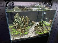 Natural Stone Aquarium Decoration 8.8lb Dragon Stone Rock Mixed Sizes for Micro Landscape Fish Tank Decor