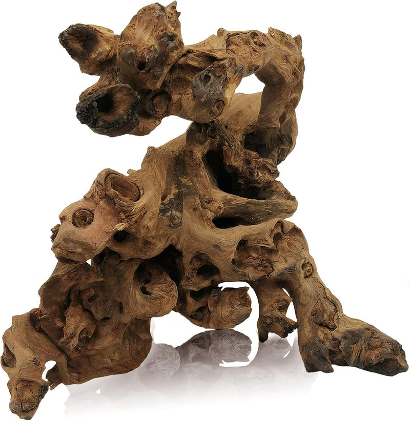 Tfwadmx Natural Driftwood for Aquarium Decor 5-8" Fish Reptile Tank - XL: 1 Pack(11 - 17 inches)