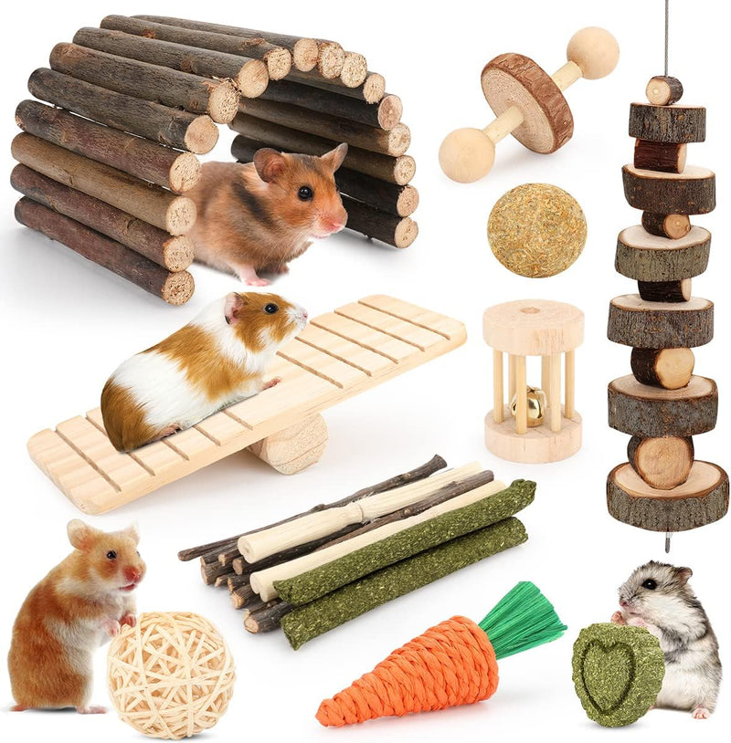 Hamster Toys Guinea Pig Toys Hamster Wheel Hamster Cage Accessories