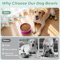 Dog Bowl, Stainless Stee Dog Water Bowl and Food Bowl - 64oz / Pitaya Pink - image 2