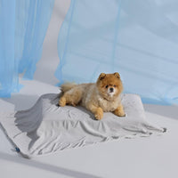 Bedsure Breathable Lightweight Cooling Blanket for Small Dogs - S(25x35") / Pearl Grey - image 3