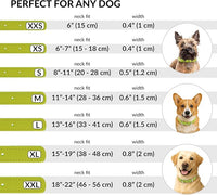 CollarDirect Rolled Leather Dog Collar, Soft Padded Round Puppy Collar, Handmade Genuine Leather Collar Dog Small Large Cat Collars 13 Colors (13-16 Inch, Lime Green Smooth)