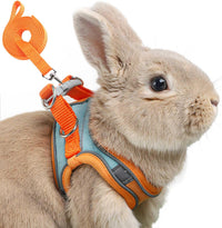 Adjustable Bunny Harness and Leash Set, Rabbit Vest Supplies – Essentials for Small Pets