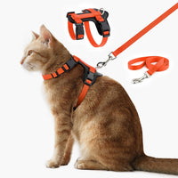 Plutus Pet Adjustable Cat Harness and Leash Set - Orange