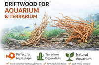 Azil Natural Aquarium Driftwood Root - Root mix 14 - 16 inch - image 4