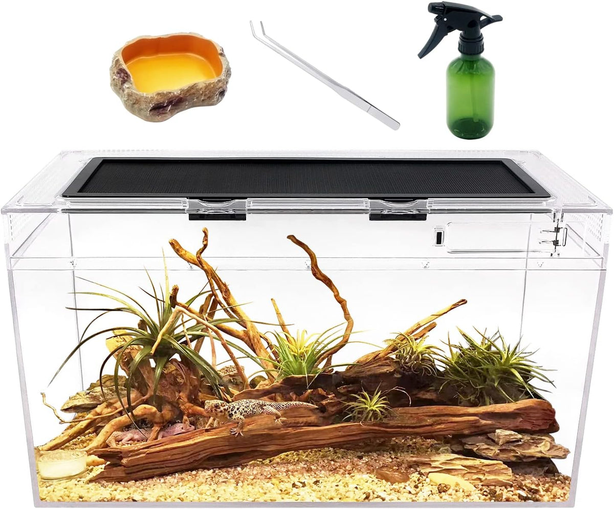 Reptile Growth Reptile Terrarium - 20" x 10"x 11"