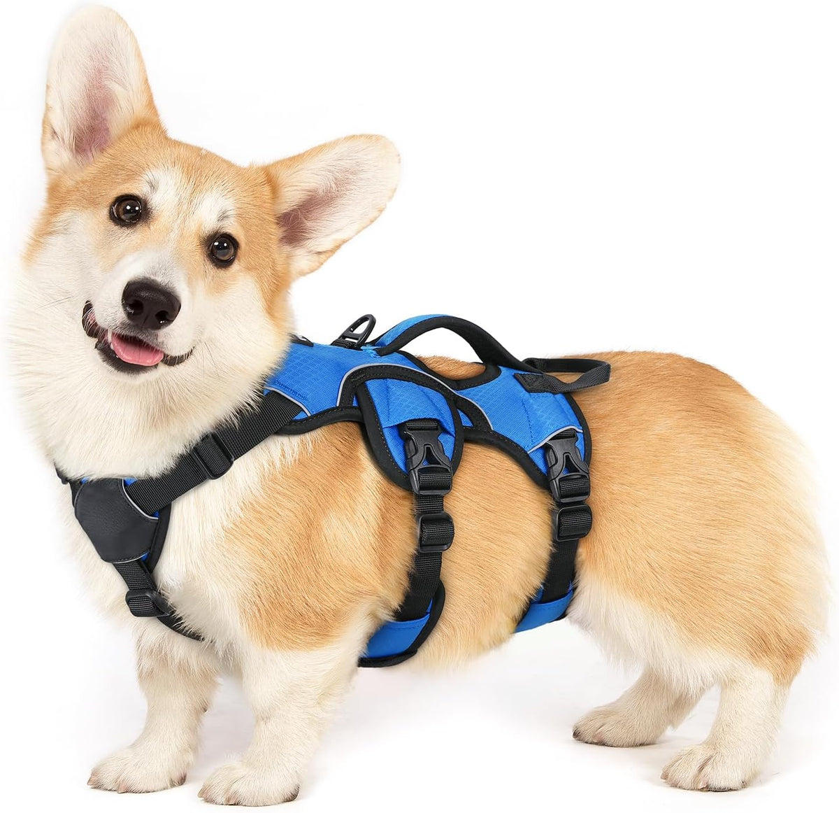 rabbitgoo Escape Proof Dog Harness for Large - Blue / Small