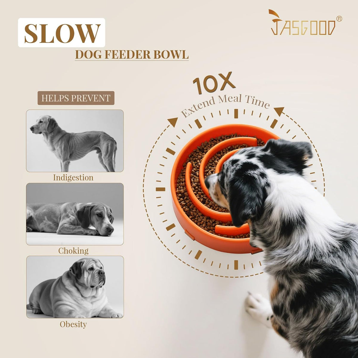 JASGOOD Slow Feeder Dogs Bowl for Large Medium Dogs - Large / Q-orange - image 3