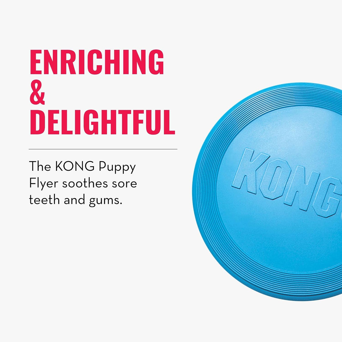 KONG Puppy Flyer, Soft Rubber Flying Disc Toy, for Small Puppies - Blue - image 4