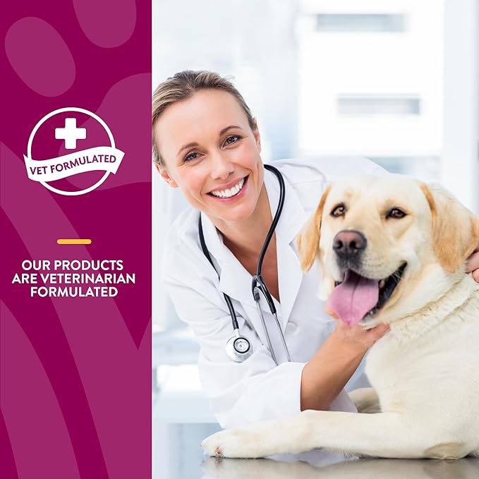 NaturVet S.O.D. & Boswellia Extra Joint Support Dog Supplement – Dog Hip Supplement – Helps Alleviate Aches, Pain – for Dog Flexibility, Healthy Joint Function – 500 Ct. Chewable Tablets