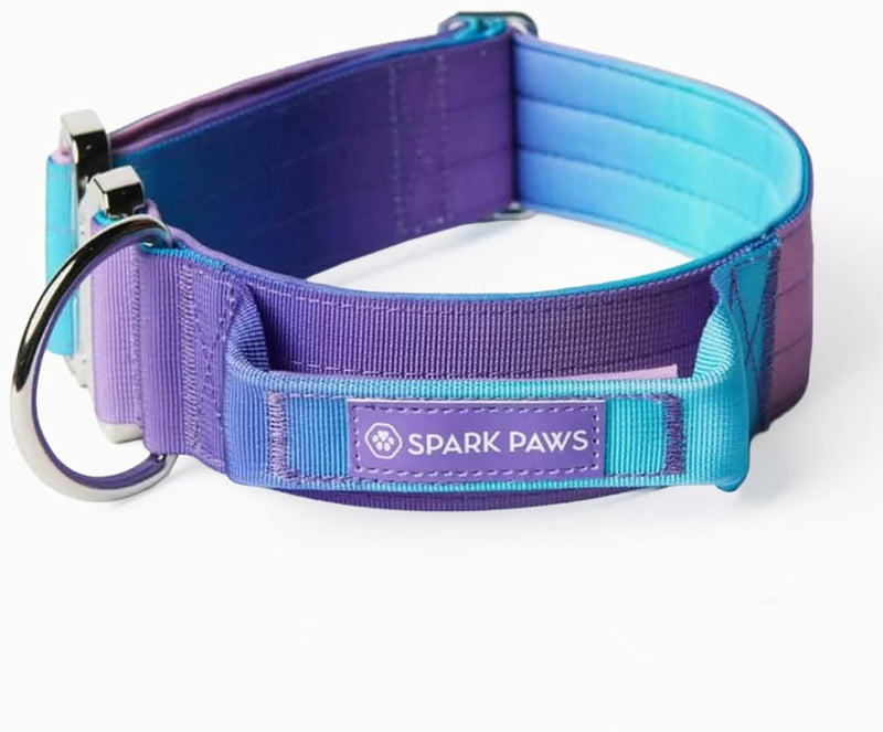 Spark Paws Tactical Large Dog Collar w/Handle, Thick & Wide - 90s Retro / L: 21"-26" [1.5" wide]