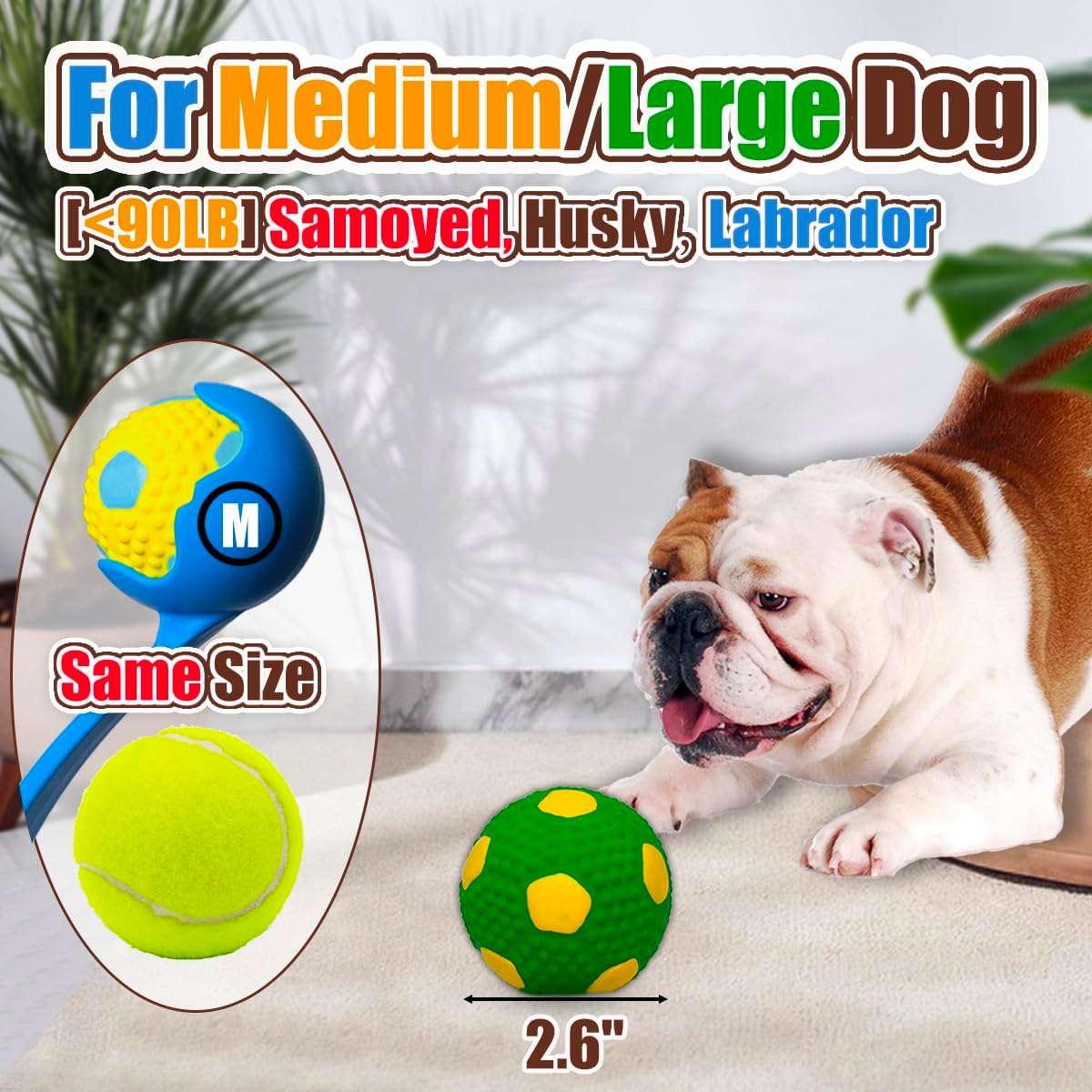 2" Squeaky Dog Toys for Small Dogs, Mini Breed - 2.6'' for M/L / Yellow+Green+Rose Red+Blue - image 2