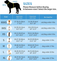 AIITLE Small Dog Harness and Leash Set, Step-in Puppy Pet Vest - S(Chest: 13.5 - 16") / Blue - image 2