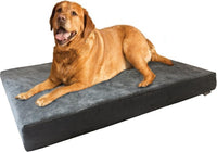 XL Orthopedic Memory Foam Dog Bed with Machine Washable Cover - XL 47" Length X 29" Width / Microsuede in Gray