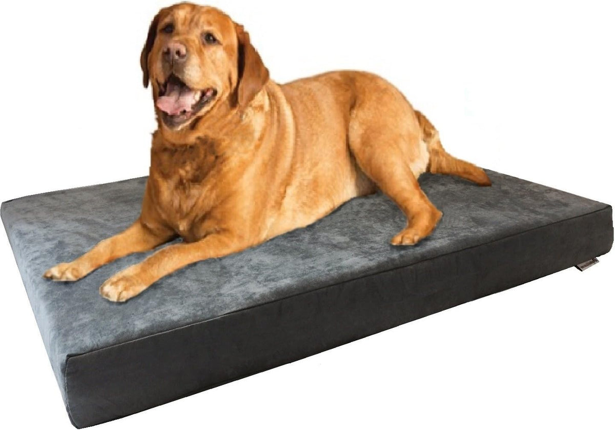 XL Orthopedic Memory Foam Dog Bed with Machine Washable Cover - XL 47" Length X 29" Width / Microsuede in Gray