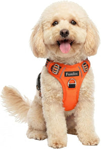 Funfox Dog Harness Medium Sized Dog - Orange / Small