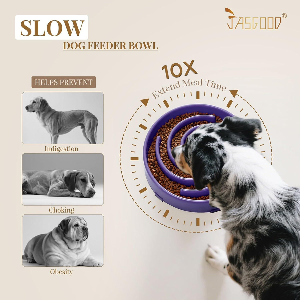 JASGOOD Slow Feeder Dogs Bowl for Large Medium Dogs - Large / N-Taro purple - image 3