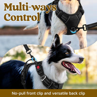 rabbitgoo Dog Harness for Large, No Pull 3 Buckles Easy On & Off – Essentials for Dogs - Black / Large - image 3