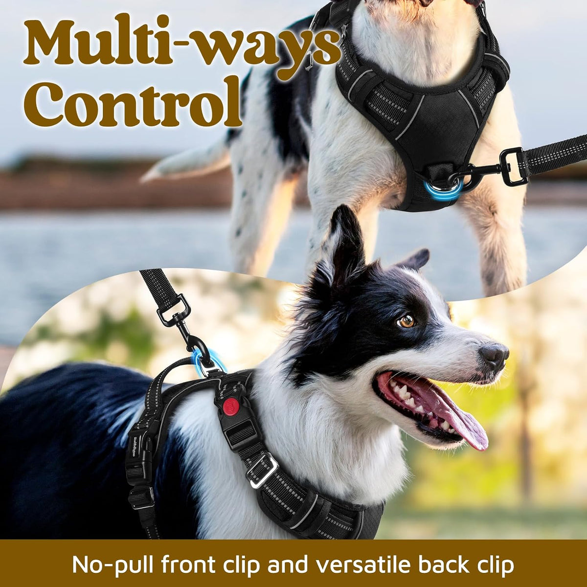 rabbitgoo Dog Harness for Large, No Pull 3 Buckles Easy On & Off – Essentials for Dogs - Black / Large - image 3