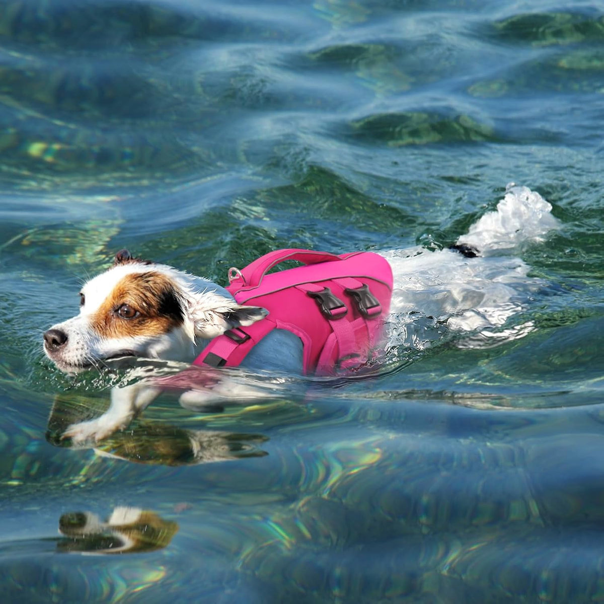 Dog Life Jacket Medium,Ripstop Dog Flotation Vest for Medium Dogs – Essentials for Dogs - Large / Rosered - image 4