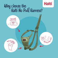 Halti No Pull Dog Harness, Size M - Forest Green / L - image 2