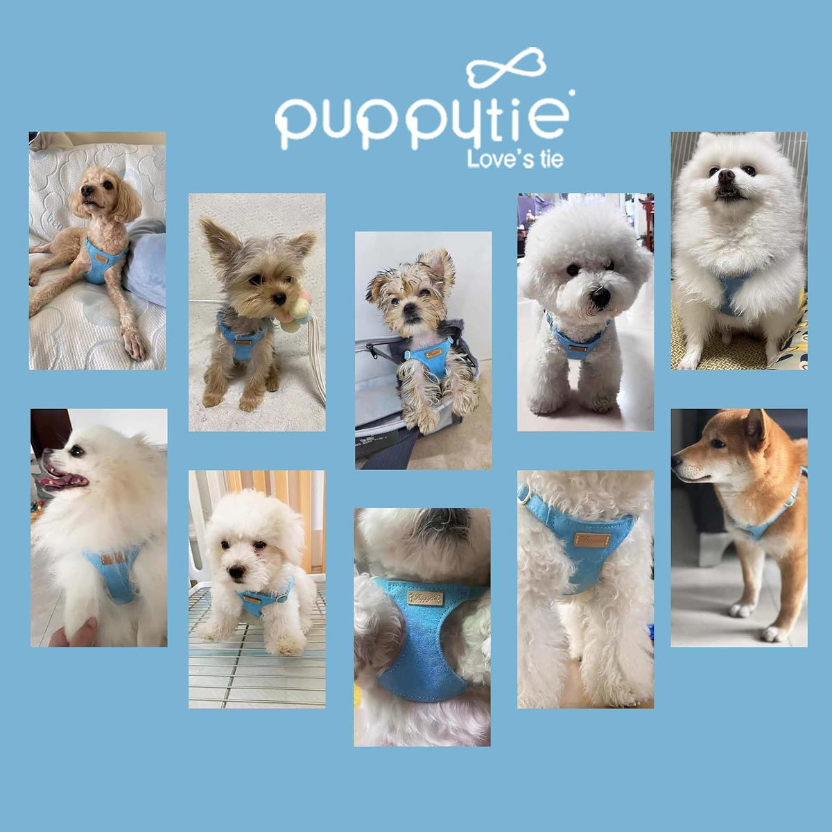 Puppytie Small Dog Harness and Leash Set, Pink, S – Essentials for Dogs - Ocean Blue / S(9-17.5lb） - image 3