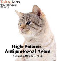 Vetr's Toltramax Toltrazuril Powder for Horses, Dogs, Cats, 100g (10.0%, Chicken)