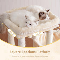 Heybly Heavy Duty Cat Tree with Large Base for Large Indoor Cats - Beige / L - image 3