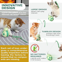 Cat Treat Interactive Toy, Indoor Puzzle Slow Feeding Mental Stimulation Sliding Rolling Cat Toy Ball with Cat Teaser, Cat Treat Dispenser Toy for Large, Medium and Small Cats (Green, ladybug)