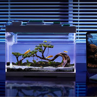Modern Acrylic Betta Fish Tank Aquarium Kit with LED Lighting and USB Charging Ports 20 Gallon Small Fish Tank for Home Office Decor, Ideal for Living Rooms, bedrooms (White)