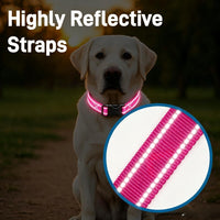Dog Collar for Small Medium Dogs with Buckle - Deep Pink / Small - image 2