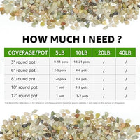 5 LBS Decorative Jade Stones – Ideal for Succulent Cactus Plants, Vase Fillers, Fish Tanks, and Landscaping Projects. 1/5 Inch Stones Promote Healthy Plant Growth (Jade, 5 Pounds)