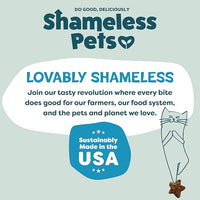 Shameless Pets Crunchy Cat Treats - Catnip Treats for Cats with Digestive Support, Kitten Treats with Real Ingredients, Natural & Healthy Flavored Feline Snacks - Fintastic Catnip, 1-Pk