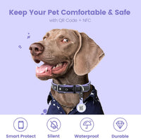 QR & NFC Pet ID Tag, Silent Silicone Dog Name Tag - Purple - image 3