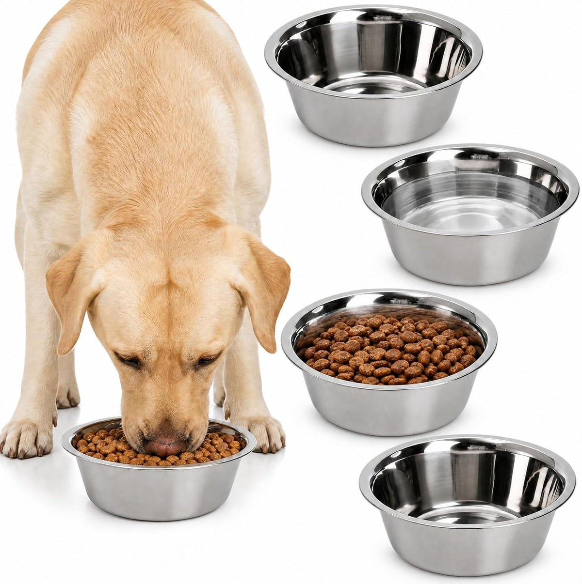 4-Pack Stainless Steel Dog and Cat Bowl