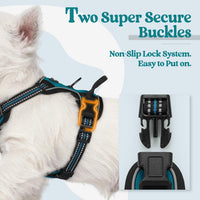 rabbitgoo Dog Harness, No Pull for Large Dogs with 2 Leash Clips - X-Small / Blue Coral - image 3