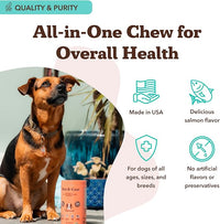 Natural Dog Company Skin & Coat Supplement for Dogs Omega-3 Rich Salmon Oil Chews for Itchy Skin Relief, Shedding & Allergy Support, Shiny Coat Health, with Biotin, Vitamin E, Grain-Free (180 Count)