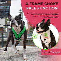 Gooby Comfort X Head-in Dog Harness, Choke-Free - X-Large Chest (20.5-28") / Hunter Green - image 4