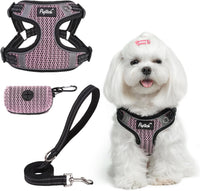 PUPTECK Dog Harness and Leash Set Small Sized - S (13-17lbs, Chest 15"-18") / #1 LightPink(Breathable Mesh)